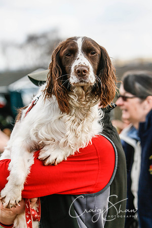 579_SpringersDogClub_FunDay_March2016_craigshaw