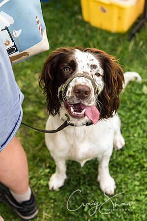 318_HebdenHappyHounds2016_bluplanetphoto