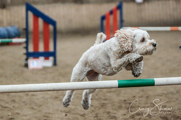 662_SpringersSpringFling2016_bluplanetphoto