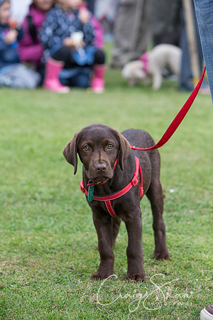 2112_HuddsBarkinthePark2013_bluplanetphoto__D8Q7031