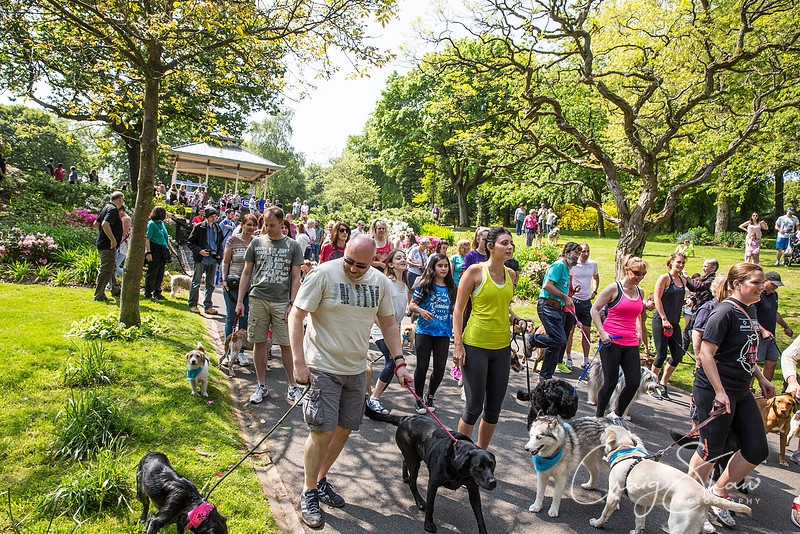 206_DoggyDashHudds2016_craigshawphoto