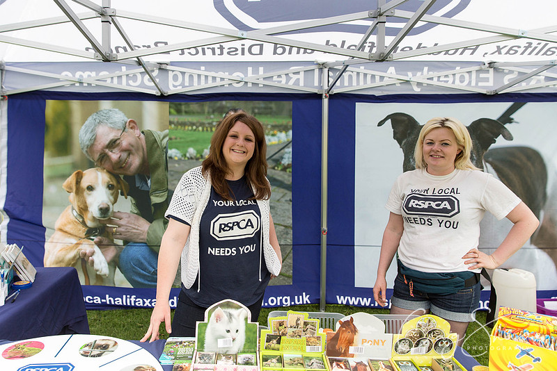 29_HebdenHappyHounds2016_bluplanetphoto