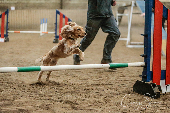 2582_SpringersSpringFling2016_bluplanetphoto