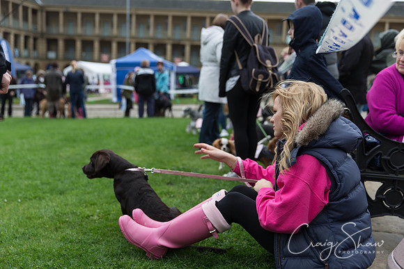 133_RSPCAK9PieceHall2013_bluplanetphoto__D8Q5445-Edit