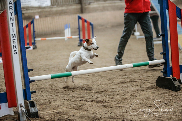 2542_SpringersSpringFling2016_bluplanetphoto