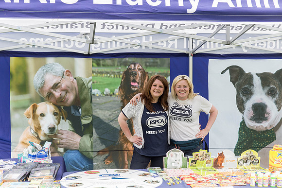 40_HebdenHappyHounds2016_bluplanetphoto