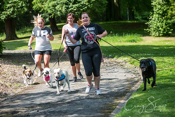 451_DoggyDashHudds2016_craigshawphoto