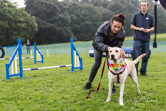 1497_ShibdenDogDayRSPCAHx_bluplanetphoto