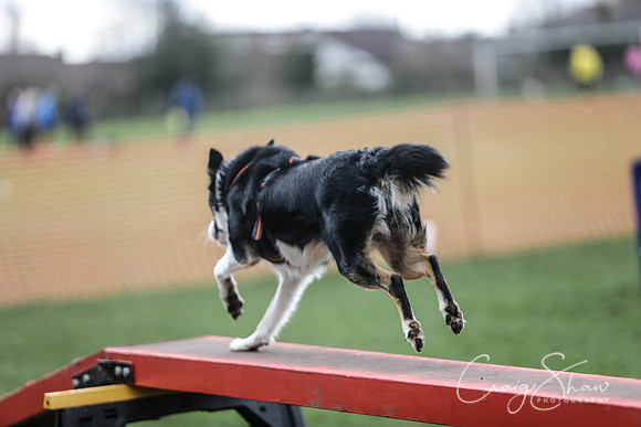 303__SpringersFunDay_March2014_bluplanetphoto