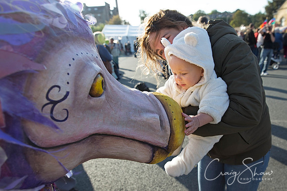 2993_SkiptonPuppetFestival2013_Sunday_bluplanetphoto-Edit