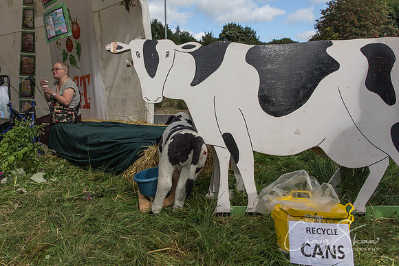 463_TodmordenHarvestFest2013_bluplanetphoto