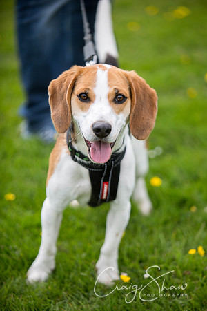 147_PAWS_FundayJuly2016_bluplanetphoto