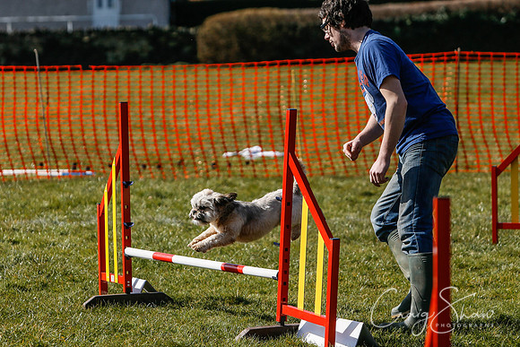 59_SpringersDogClub_FunDay_March2016_craigshaw