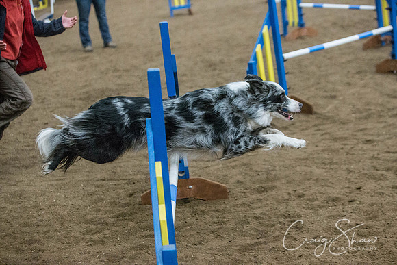 2417_SpringersSpringFling2016_bluplanetphoto