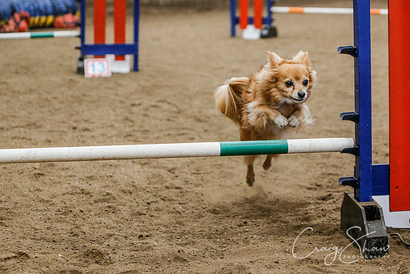 535_SpringersSpringFling2016_bluplanetphoto