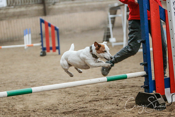 2544_SpringersSpringFling2016_bluplanetphoto