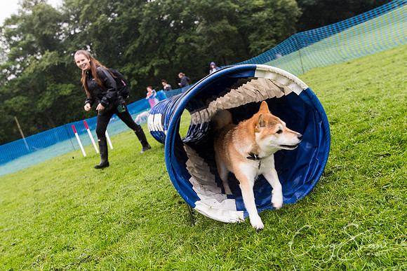 1405_ShibdenDogDayRSPCAHx_bluplanetphoto