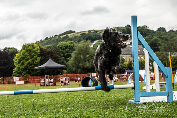 1389_HebdenHappyHounds2016_bluplanetphoto