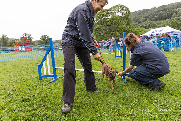 333_ShibdenDogDayRSPCAHx_bluplanetphoto