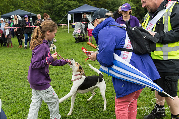 712_ShibdenDogDayRSPCAHx_bluplanetphoto