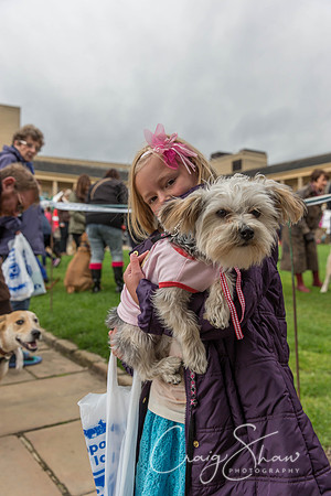 140_RSPCAK9PieceHall2013_bluplanetphoto__D8Q5452