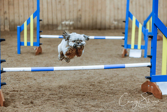 2481_SpringersSpringFling2016_bluplanetphoto