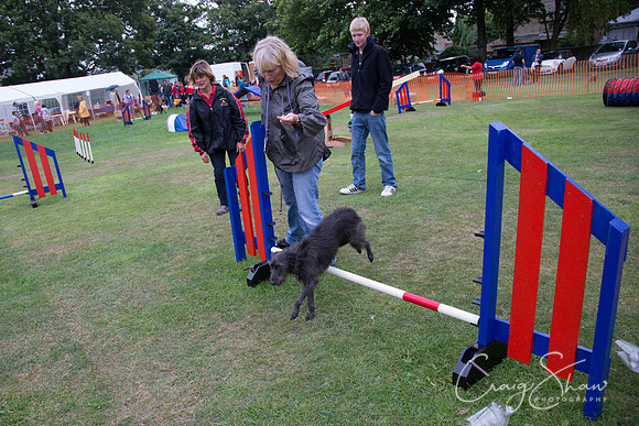 1812_HuddsBarkinthePark2013_bluplanetphoto_ED8Q6751