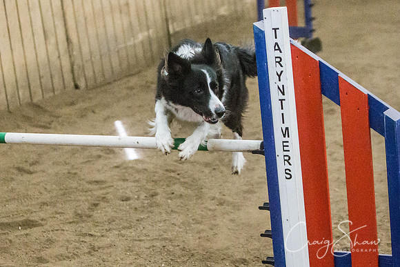 2381_SpringersSpringFling2016_bluplanetphoto