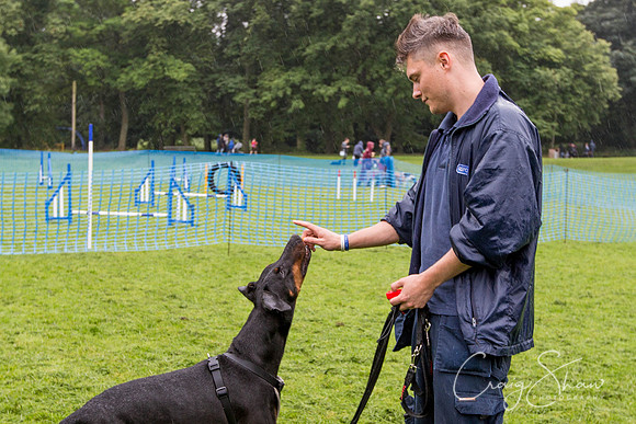 1297_ShibdenDogDayRSPCAHx_bluplanetphoto