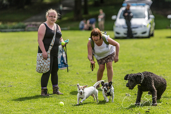 272_HebdenHappyHounds2016_bluplanetphoto