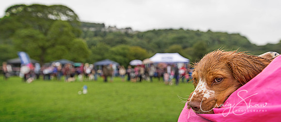 974_ShibdenDogDayRSPCAHx_bluplanetphoto