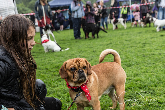 1188_ShibdenDogDayRSPCAHx_bluplanetphoto