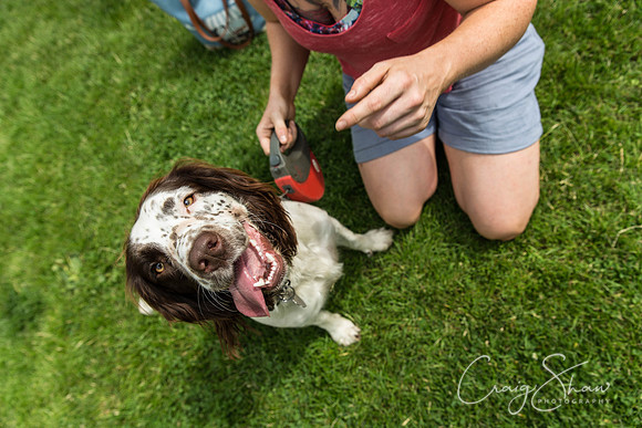 702_HebdenHappyHounds2016_bluplanetphoto