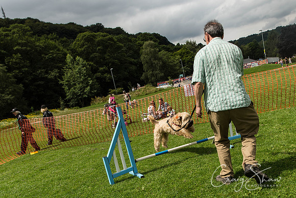 1063_HebdenHappyHounds2016_bluplanetphoto