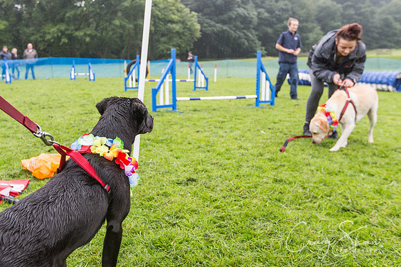 1495_ShibdenDogDayRSPCAHx_bluplanetphoto