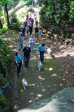 366_DoggyDashHudds2016_craigshawphoto