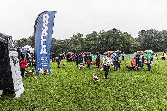 1261_ShibdenDogDayRSPCAHx_bluplanetphoto