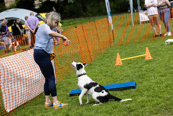 1587_HebdensHappyHounds2024_Cshaw-