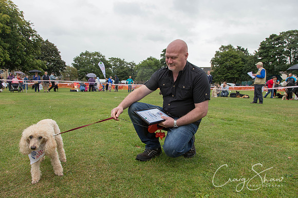 1974_HuddsBarkinthePark2013_bluplanetphoto__D8Q6911