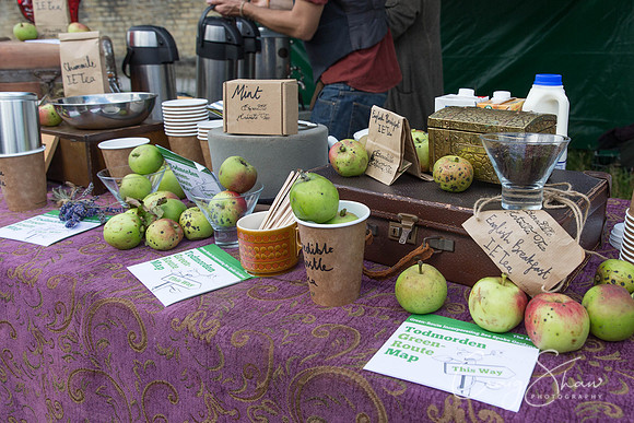 116_TodmordenHarvestFest2013_bluplanetphoto