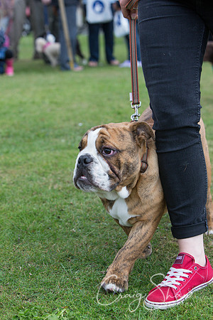 2108_HuddsBarkinthePark2013_bluplanetphoto__D8Q7027