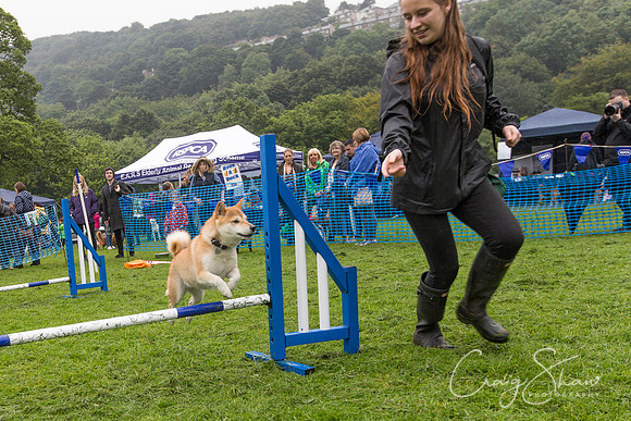 1396_ShibdenDogDayRSPCAHx_bluplanetphoto