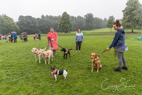1213_ShibdenDogDayRSPCAHx_bluplanetphoto