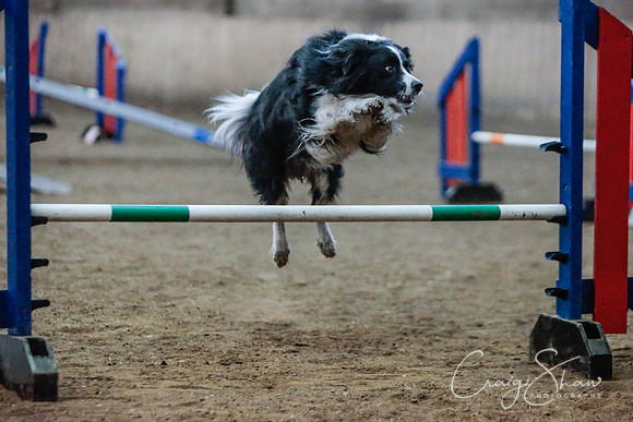 219_SpringersSpringFling2016_bluplanetphoto
