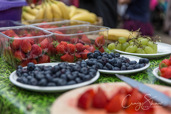 369_TodmordenHarvestFest2013_bluplanetphoto