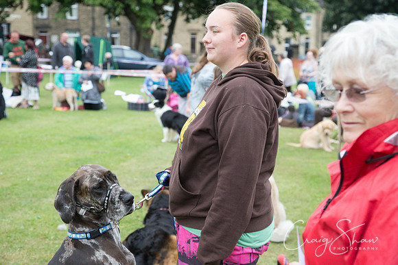 2447_HuddsBarkinthePark2013_bluplanetphoto__D8Q7256