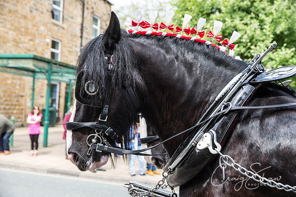 61_TodmordenCarnival2016_craigshawphoto