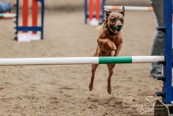 754_SpringersSpringFling2016_bluplanetphoto