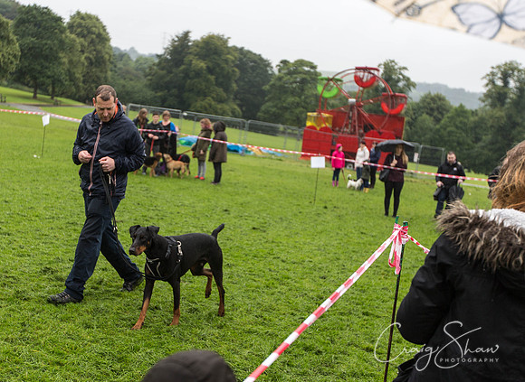1383_ShibdenDogDayRSPCAHx_bluplanetphoto