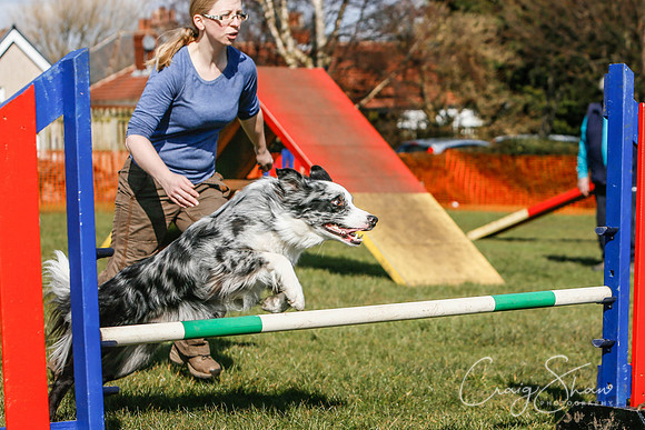 356_SpringersDogClub_FunDay_March2016_craigshaw